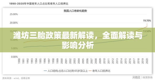 濰坊三胎政策最新解讀，全面解讀與影響分析