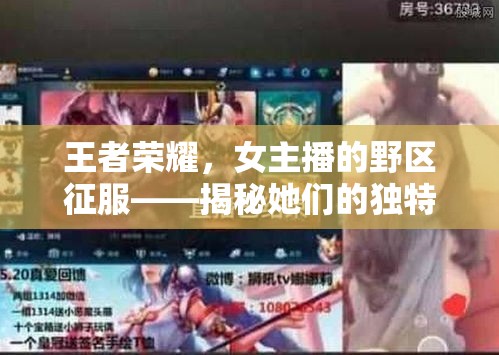 王者榮耀，女主播的野區(qū)征服——揭秘她們的獨特魅力與技巧