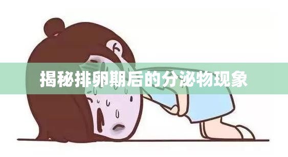 揭秘排卵期后的分泌物現(xiàn)象
