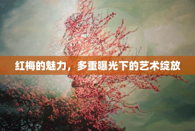 紅梅的魅力，多重曝光下的藝術(shù)綻放