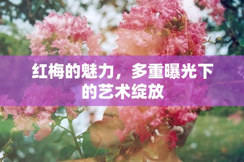 紅梅的魅力，多重曝光下的藝術(shù)綻放