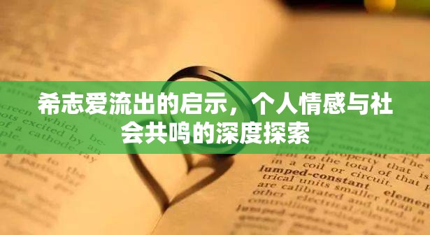 希志愛流出的啟示，個(gè)人情感與社會(huì)共鳴的深度探索