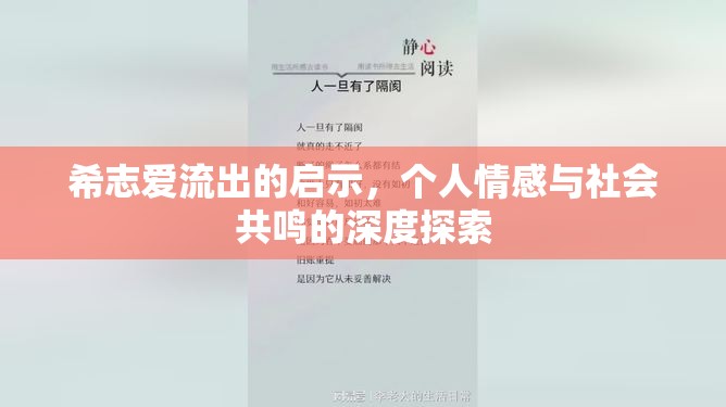 希志愛流出的啟示，個(gè)人情感與社會(huì)共鳴的深度探索