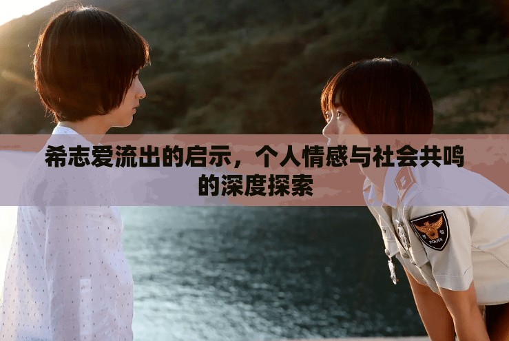 希志愛流出的啟示，個(gè)人情感與社會(huì)共鳴的深度探索
