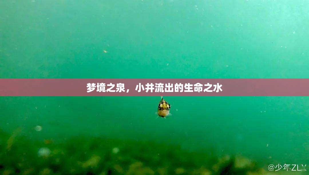 夢境之泉，小井流出的生命之水