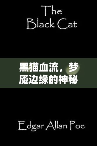 黑貓血流，夢魘邊緣的神秘符號解析