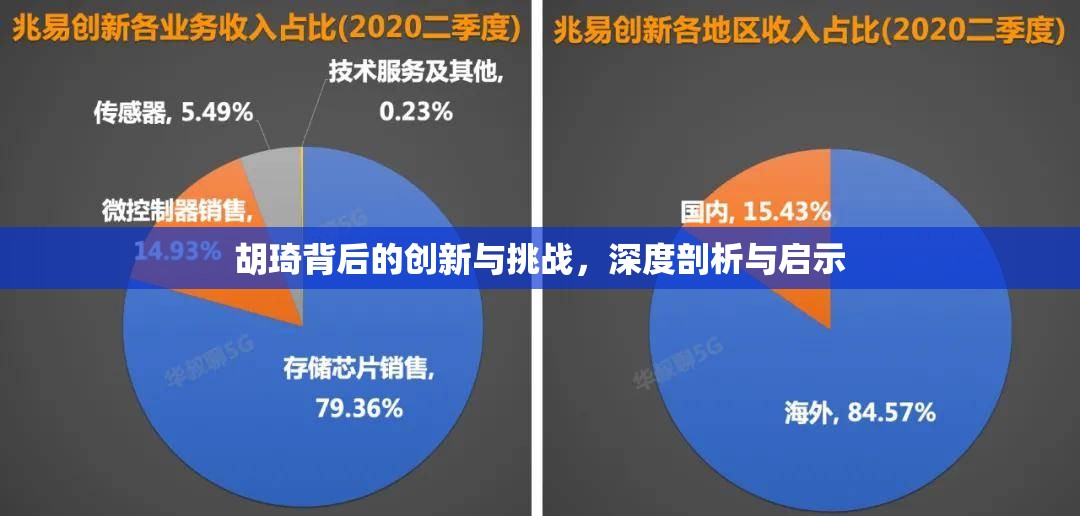 胡琦背后的創(chuàng)新與挑戰(zhàn)，深度剖析與啟示