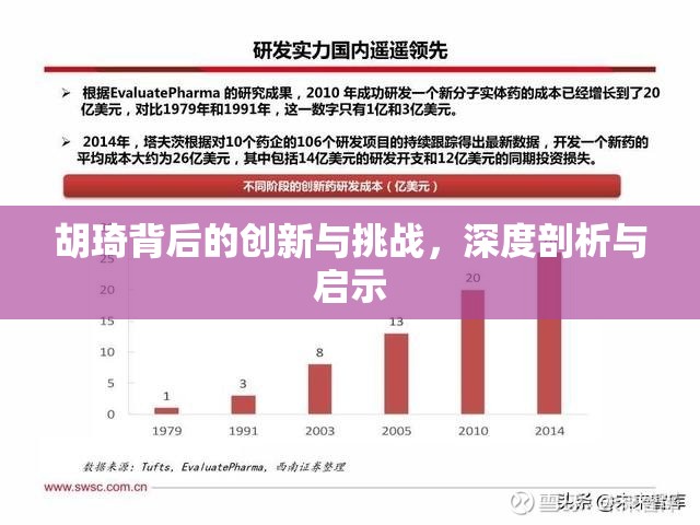 胡琦背后的創(chuàng)新與挑戰(zhàn)，深度剖析與啟示