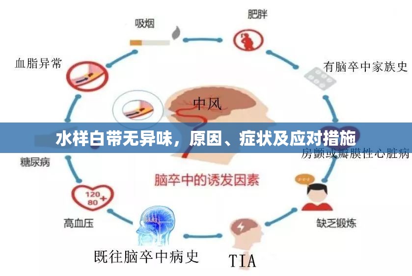 水樣白帶無異味，原因、癥狀及應(yīng)對措施
