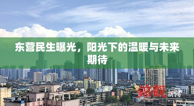 東營民生曝光，陽光下的溫暖與未來期待