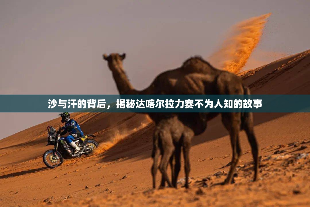 沙與汗的背后，揭秘達喀爾拉力賽不為人知的故事