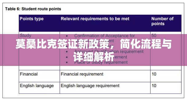 莫桑比克簽證新政策，簡化流程與詳細解析