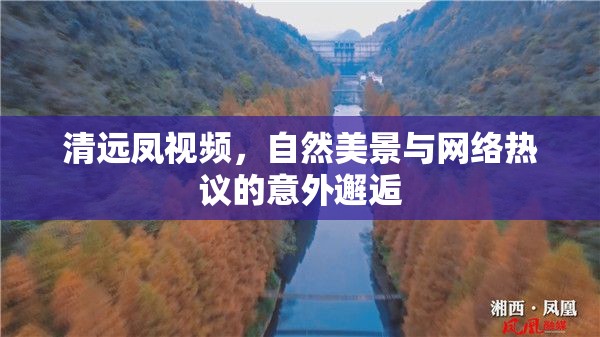 清遠(yuǎn)鳳視頻，自然美景與網(wǎng)絡(luò)熱議的意外邂逅