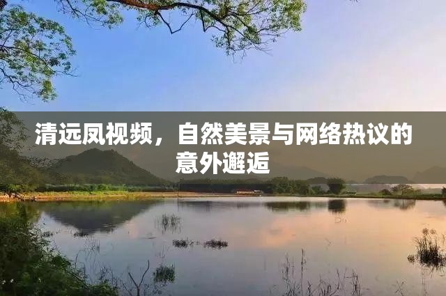 清遠(yuǎn)鳳視頻，自然美景與網(wǎng)絡(luò)熱議的意外邂逅