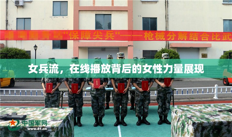 女兵流，在線播放背后的女性力量展現(xiàn)