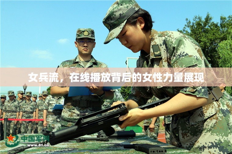 女兵流，在線播放背后的女性力量展現(xiàn)