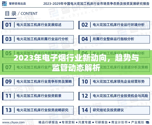2023年電子煙行業(yè)新動(dòng)向，趨勢(shì)與監(jiān)管動(dòng)態(tài)解析