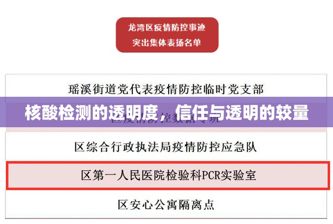 核酸檢測的透明度，信任與透明的較量
