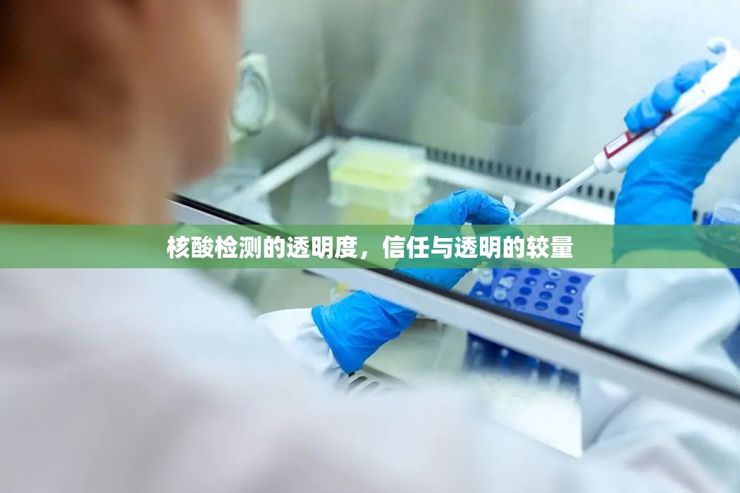 核酸檢測的透明度，信任與透明的較量
