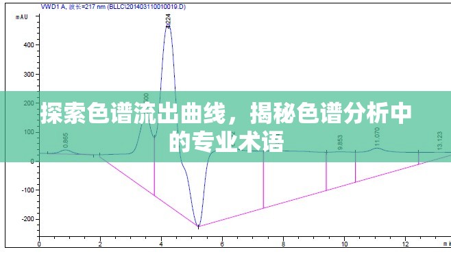 探索色譜流出曲線，揭秘色譜分析中的專業(yè)術(shù)語