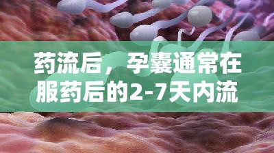 藥流后，孕囊通常在服藥后的2-7天內(nèi)流出。