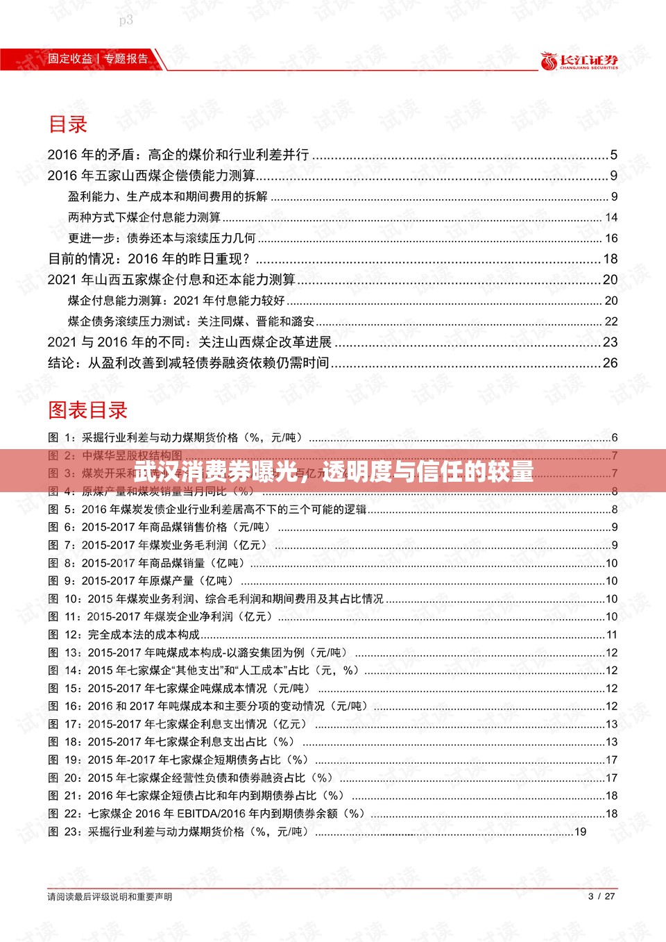 武漢消費(fèi)券曝光，透明度與信任的較量
