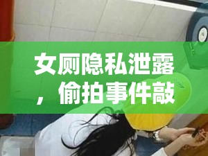 女廁隱私泄露，偷拍事件敲響的警鐘與社會(huì)的深刻反思