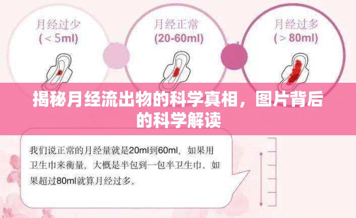 揭秘月經(jīng)流出物的科學(xué)真相，圖片背后的科學(xué)解讀