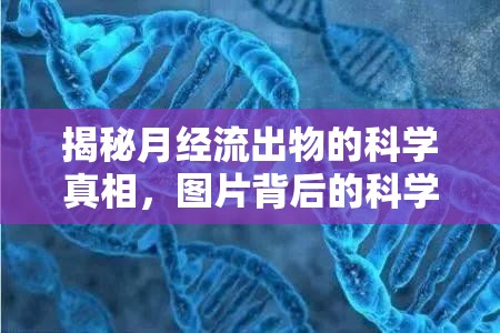揭秘月經(jīng)流出物的科學(xué)真相，圖片背后的科學(xué)解讀