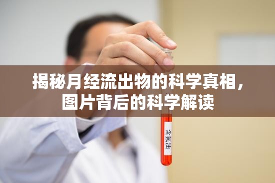 揭秘月經(jīng)流出物的科學(xué)真相，圖片背后的科學(xué)解讀