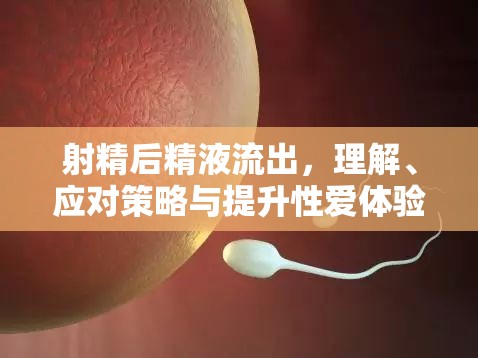 射精后精液流出，理解、應(yīng)對策略與提升性愛體驗的智慧