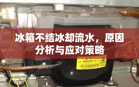 冰箱不結(jié)冰卻流水，原因分析與應(yīng)對策略