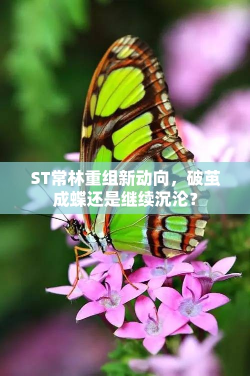 ST常林重組新動向，破繭成蝶還是繼續(xù)沉淪？
