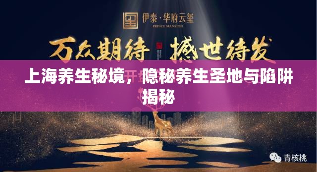 上海養(yǎng)生秘境，隱秘養(yǎng)生圣地與陷阱揭秘