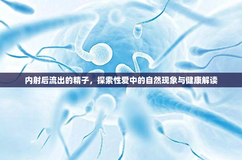 內(nèi)射后流出的精子，探索性愛中的自然現(xiàn)象與健康解讀