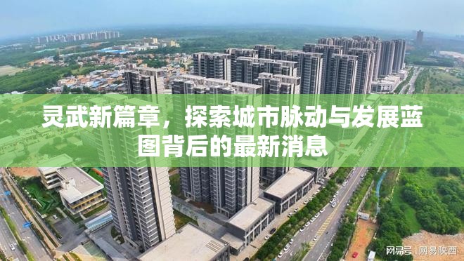 靈武新篇章，探索城市脈動(dòng)與發(fā)展藍(lán)圖背后的最新消息