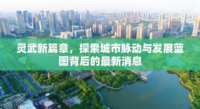 靈武新篇章，探索城市脈動(dòng)與發(fā)展藍(lán)圖背后的最新消息