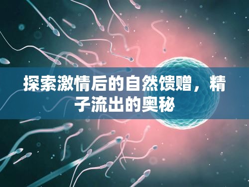 探索激情后的自然饋贈，精子流出的奧秘