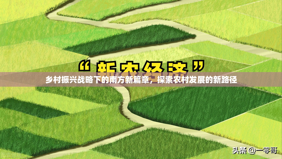 鄉(xiāng)村振興戰(zhàn)略下的南方新篇章，探索農村發(fā)展的新路徑