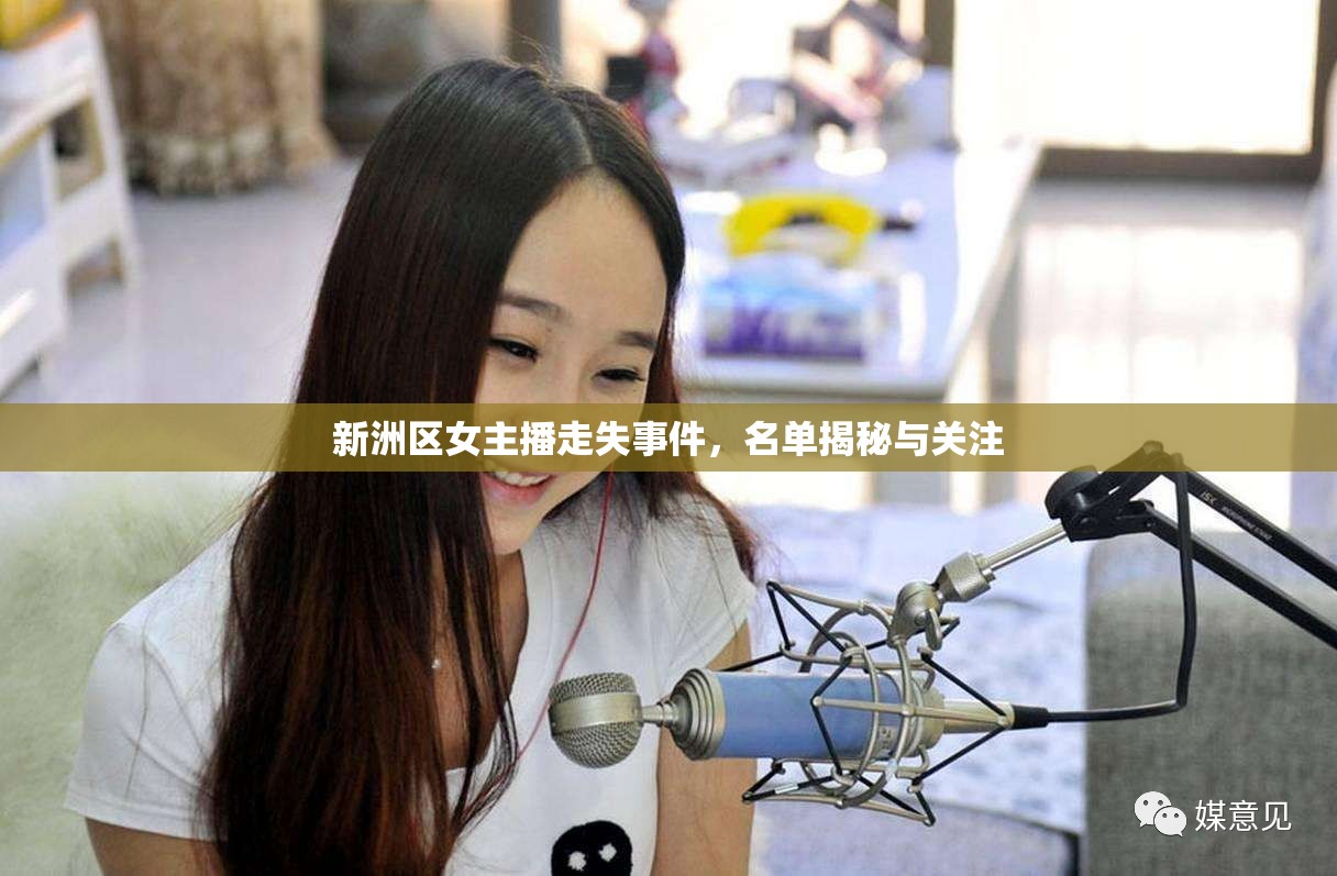 新洲區(qū)女主播走失事件，名單揭秘與關(guān)注
