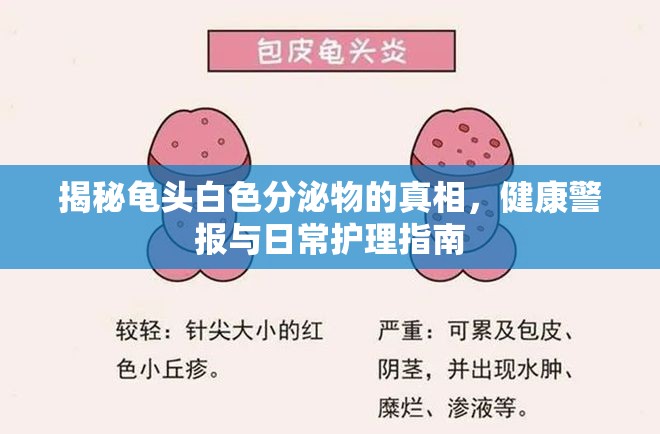 揭秘龜頭白色分泌物的真相，健康警報(bào)與日常護(hù)理指南