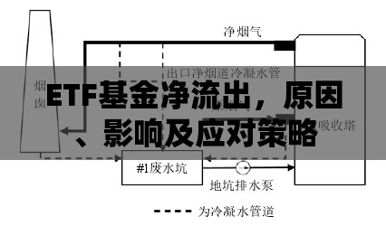 ETF基金凈流出，原因、影響及應(yīng)對(duì)策略