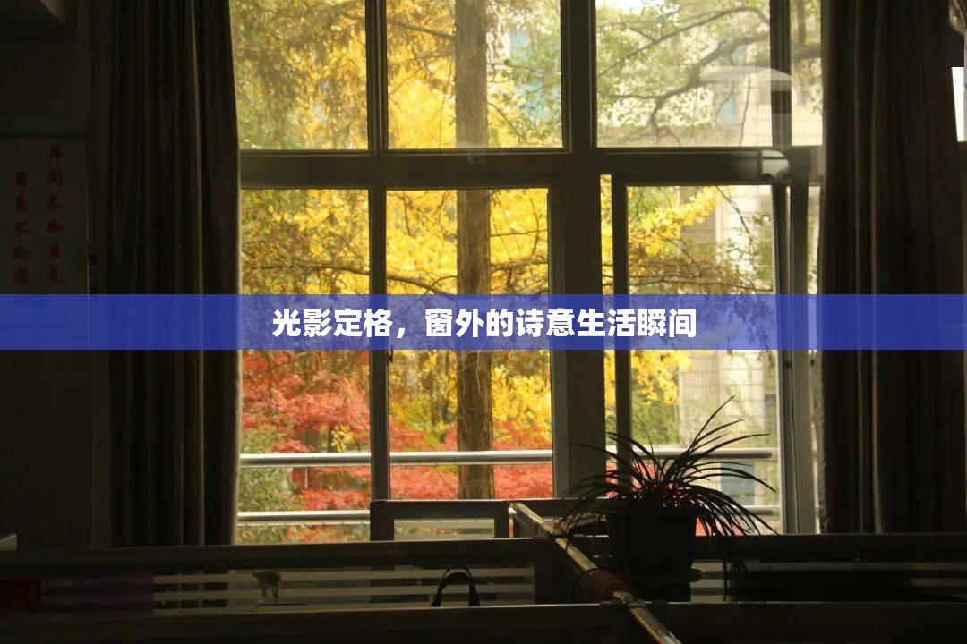 光影定格，窗外的詩(shī)意生活瞬間