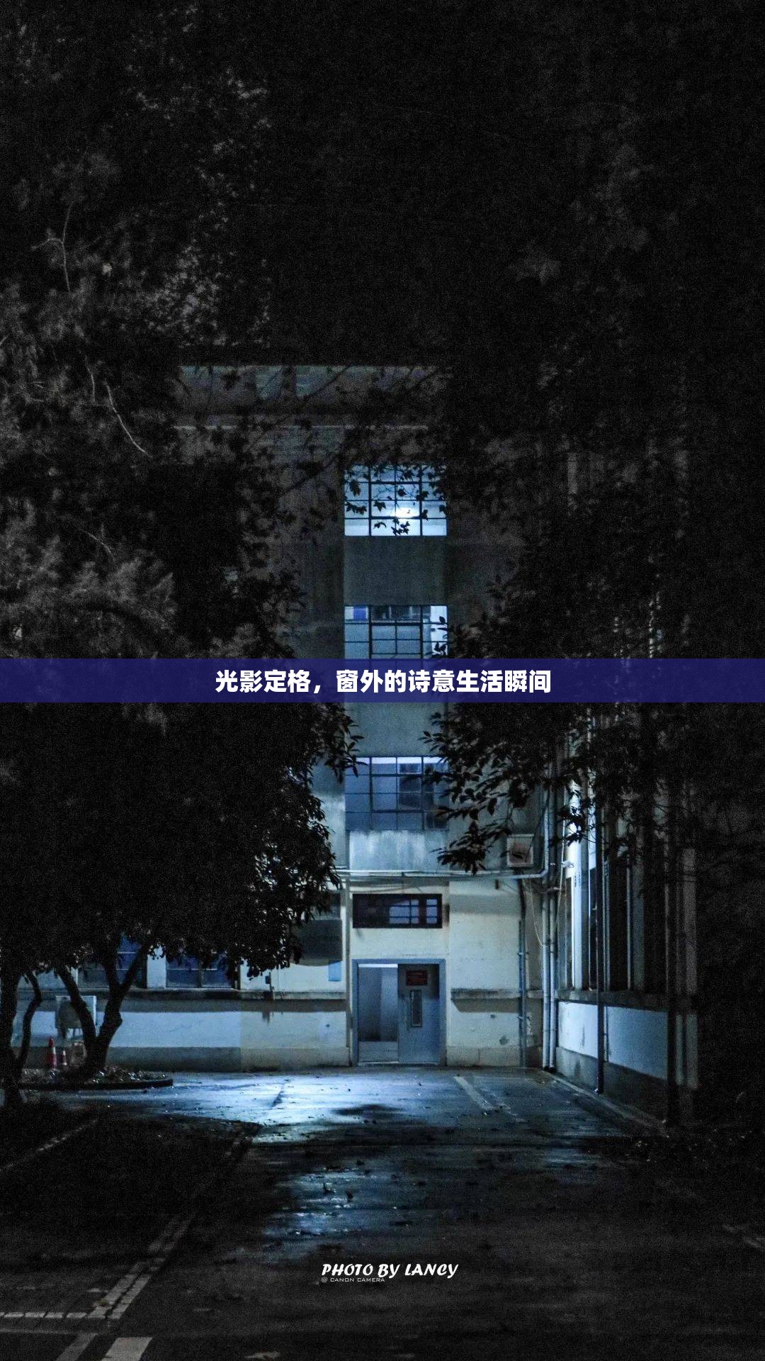 光影定格，窗外的詩(shī)意生活瞬間