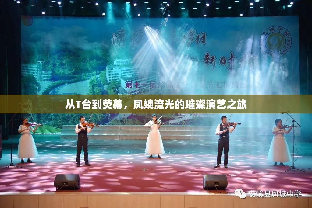 從T臺到熒幕，鳳婉流光的璀璨演藝之旅