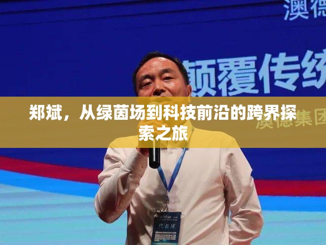 鄭斌，從綠茵場(chǎng)到科技前沿的跨界探索之旅