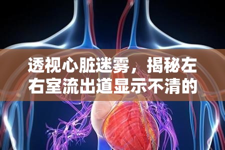 透視心臟迷霧，揭秘左右室流出道顯示不清的醫(yī)學(xué)奧秘