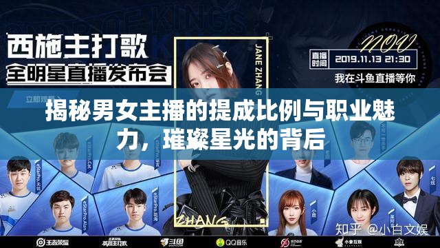 揭秘男女主播的提成比例與職業(yè)魅力，璀璨星光的背后
