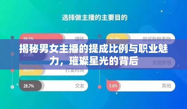 揭秘男女主播的提成比例與職業(yè)魅力，璀璨星光的背后