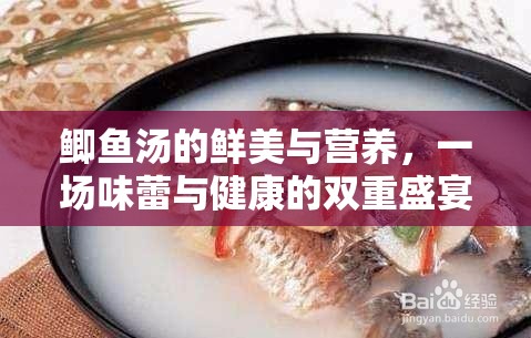 鯽魚湯的鮮美與營養(yǎng)，一場味蕾與健康的雙重盛宴